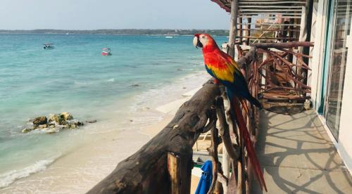 Bocachica House | HOSTAL LAMAR BARU dónde Gertrudis