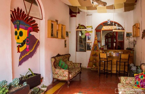 Zona Centro House | Hostal Nomada San Cristobal