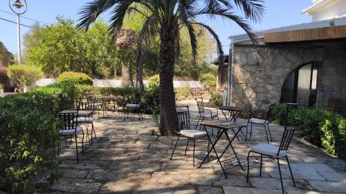 Alcudia House | Hostal Residencia Alma