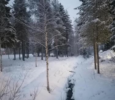 Rovaniemi Hostel | Hostel Tikka