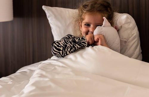 Museum Quarter Hotel | Hotel Aalders