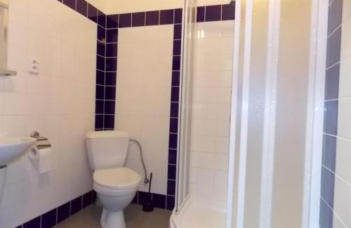 Velke Hamry Hotel | Hotel Britz