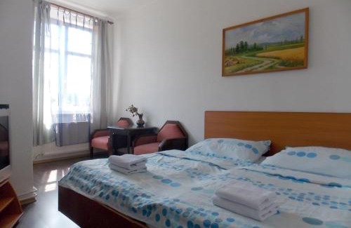 Velke Hamry Hotel | Hotel Britz