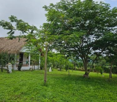 Tanchachin Other | Hotel - CABAÑAS THAJU - HUASTECA POTOSINA