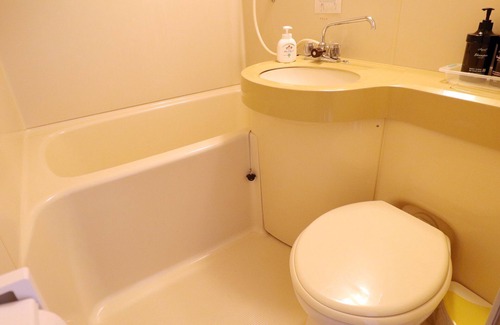 Fujikawaguchiko Hotel | Hotel CAMELOT