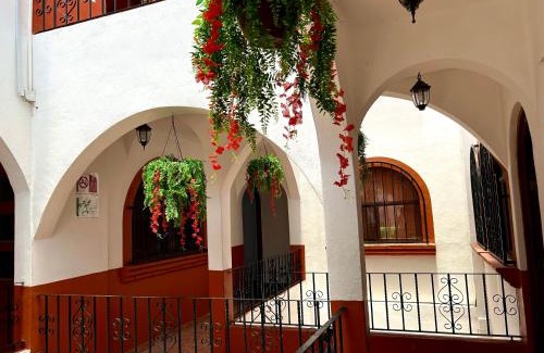 Gonzalo Guerrero Hotel | Hotel Coco de Mar Quinta Avenida