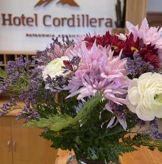 El Bolson Hotel | Hotel Cordillera