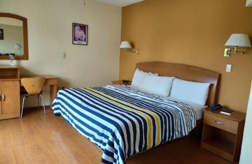 Morelia Hotel | Hotel Florencia Regency