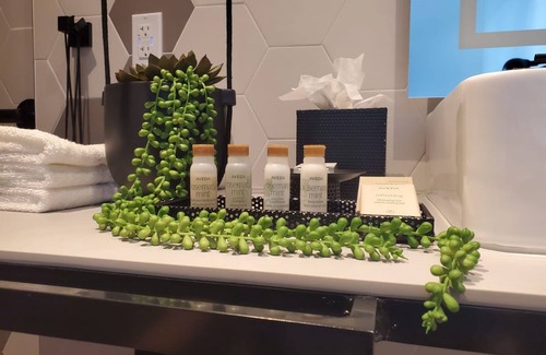 Brickell Hotel | Hotel Indigo Miami Brickell by IHG