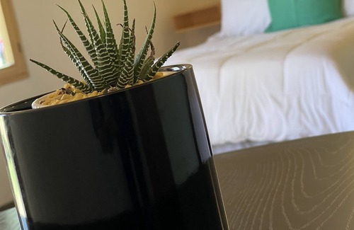 Santa Maria Pipioltepec Hotel | Hotel Jardín El Tlapeue