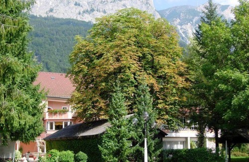 Notsch im Gailtal House | Hotel Marko - Studio