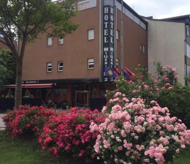 Prizren Hotel | Hotel Millenium2