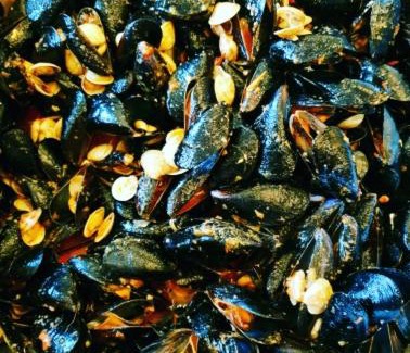 Cattolica Hotel | Hotel Pacific