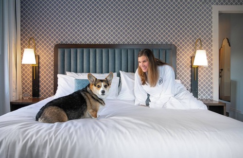 Petersburg Hotel | Hotel Petersburg, Tapestry Collection By Hilton
