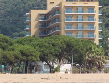 Malgrat de Mar Hotel | Hotel Reymar Playa