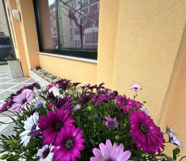 Marebello Hotel | Hotel Till