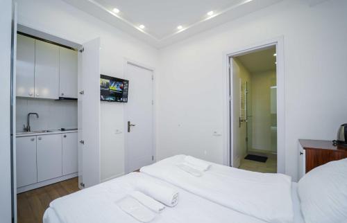 Vera Apartment | Hotel type room with mini kitchen and balcony on Melikishvili, city center