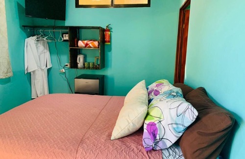 Canton Parrita Hotel | Hotel Vista Bonita - Monkey Room
