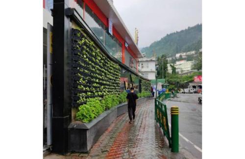 Gangtok House | Hotel Yatung, Gangtok
