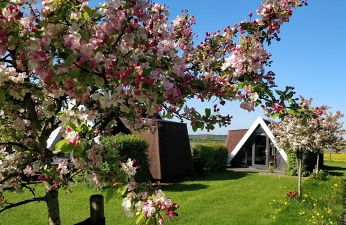 Warmenhuizen House | Hotelhuisje Warmenhuizen #B