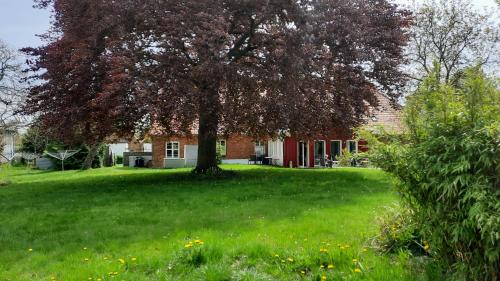Muritz Hotel | Hotelpension Pfarrhaus