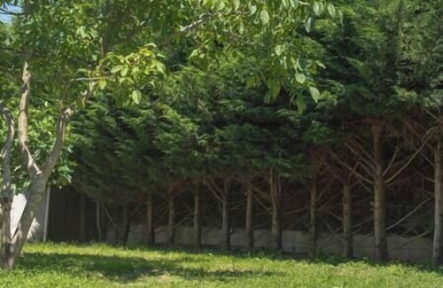 Moulins House | House 6 persons - terrace and garden