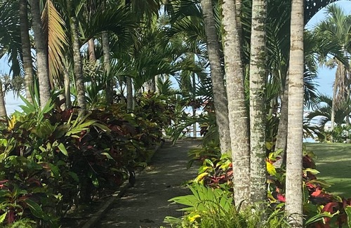 Las Nunez House | House by the sea, with large gardens, private, comfortable, for 11 people.