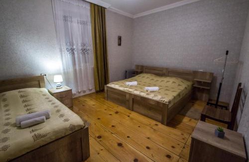 Bagvdanari Apartment | house by the river
