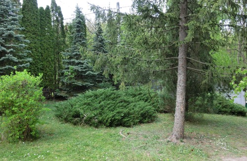Szentendrei House | House for 5 guests with 70m² in Leányfalu (128275)