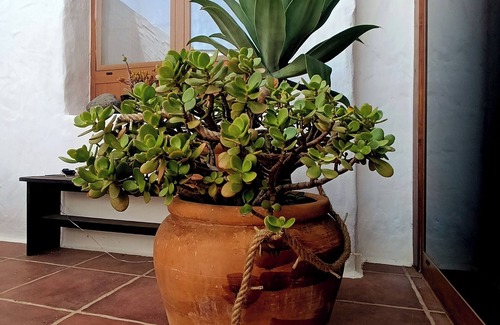 Haria House | House in a charming old town (pet friendly)