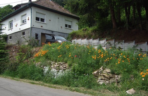 Breitenbach-Haut-Rhin House | House in Breitenbach