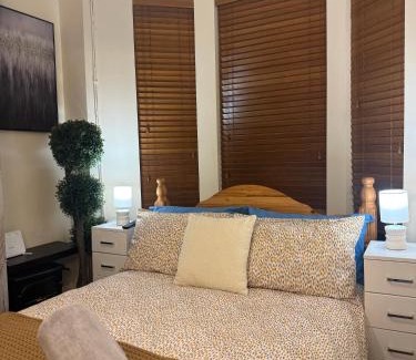 Queens Quarter House | House in Lisburn road