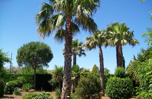 Il Monte Villa | House in the green one step away from Gallipoli beach