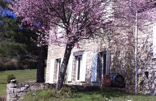 Sampolo House | house of character, on 1 natural hectare, village at 300 m, beaches at 1 hour,
