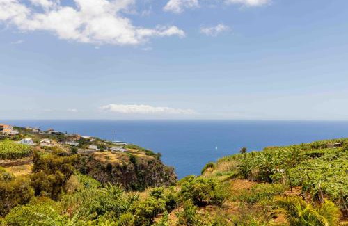 Estreito da Calheta House | House - sleeps 3 free parking garden & jacuzzi