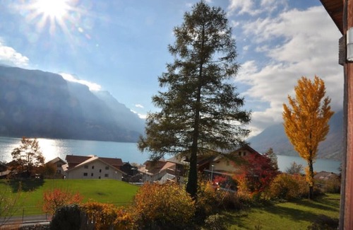 Brienz Apartment | House with beautiful lake view, garden and pool