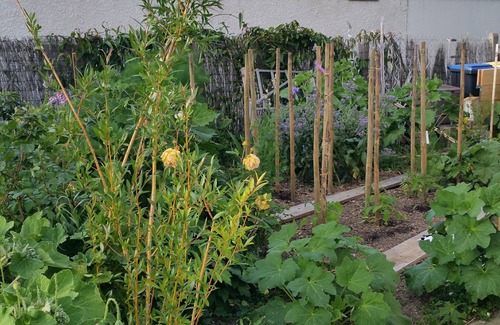Angoulins House | House with garden 5 minutes from the beach and 15 minutes from La Rochelle