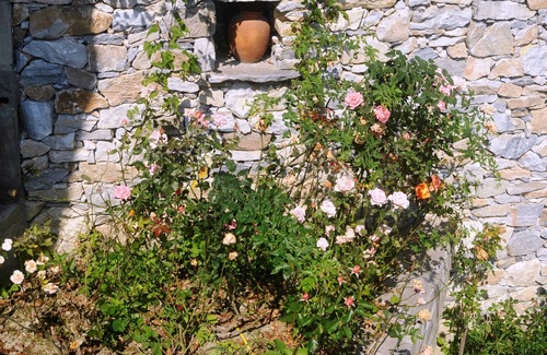 Delchevo House | House with garden in authentic mountain village, with plenty of peace, nature and clean air.