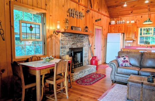 Screamer Mountain Cabin | Hummingbirds Haven w/Heavenly Mountain Views Dog Friendly!