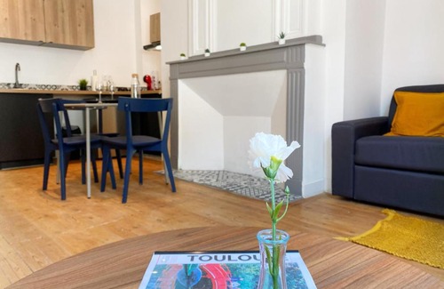 Capitole Apartment | Hypercentre 5 Toulouse beau studio climatisé