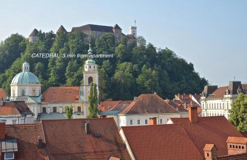 Ljubljana City Centre Apartment | i Design Studio