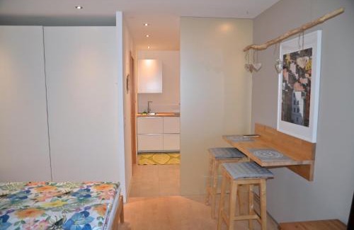 Ljubljana City Centre Apartment | i Design Studio