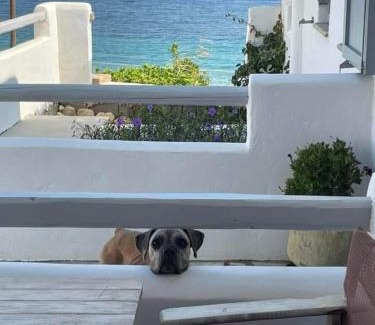 Skiros House | Ianthi Boutique Guesthouses Skyros