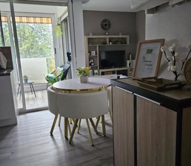 Digne-les-Bains Apartment | Idéal long séjour, Souvenirs de Provence,T2 classé, vue sur les montagnes, toutes commoditées!