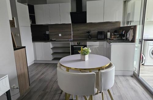 Digne-les-Bains Apartment | Idéal long séjour, Souvenirs de Provence,T2 classé, vue sur les montagnes, toutes commoditées!