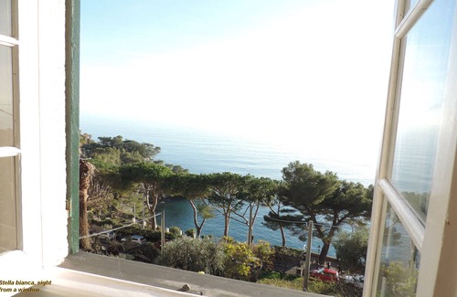 Pieve Ligure Apartment | ideal for 4-5 people, facing the sea, + Garden, private sheltered outside & pool