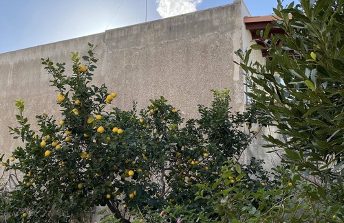 Patu Apartment | Ideal studio apartment for couples