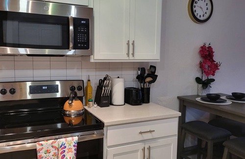 Downtown San Antonio Apartment | IG-Worthy Fiesta DT Retreat hotel Apt with free Parking and Pets Allowed