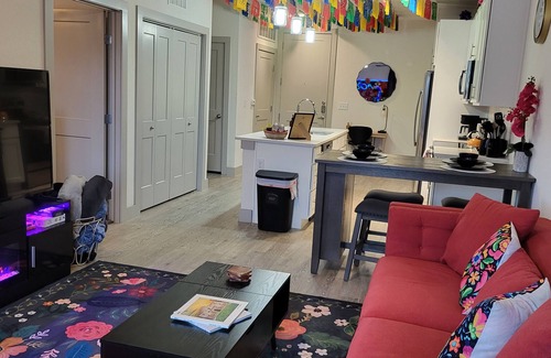 Downtown San Antonio Apartment | IG-Worthy Fiesta DT Retreat hotel Apt with free Parking and Pets Allowed