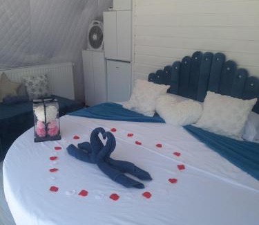 Rasnov Other | Igloo Rasnov